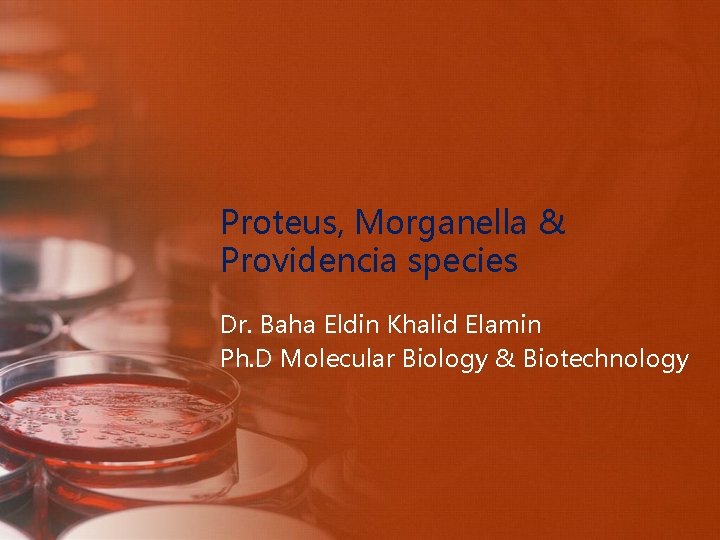 Proteus, Morganella & Providencia species Dr. Baha Eldin Khalid Elamin Ph. D Molecular Biology
