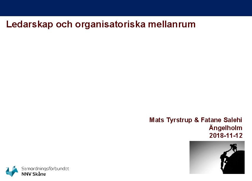 Ledarskap och organisatoriska mellanrum Mats Tyrstrup & Fatane Salehi Ängelholm 2018 -11 -12 