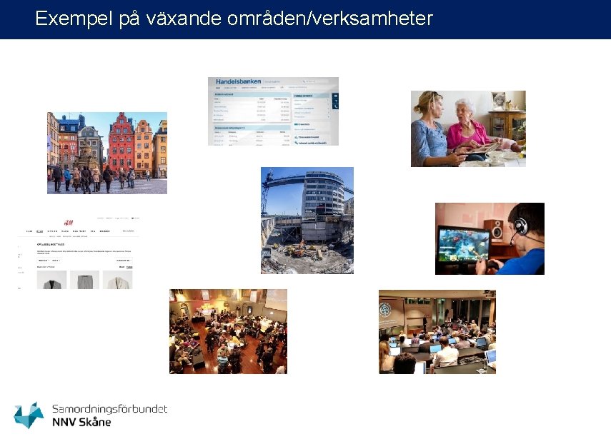 Exempel på växande områden/verksamheter 