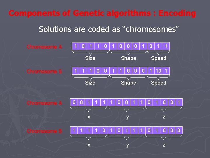 Components of Genetic algorithms : Encoding Solutions are coded as “chromosomes” Chromosome A 1 Components of Genetic algorithms : Encoding Solutions are coded as “chromosomes” Chromosome A 1