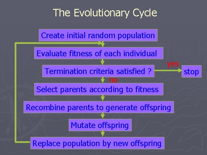 The Evolutionary Cycle Create initial random population Evaluate fitness of each individual Termination criteria The Evolutionary Cycle Create initial random population Evaluate fitness of each individual Termination criteria