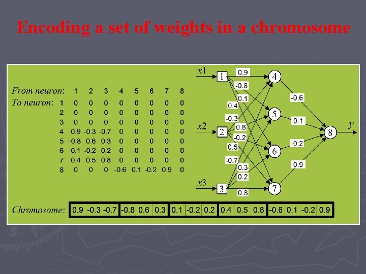 Encoding a set of weights in a chromosome Encoding a set of weights in a chromosome