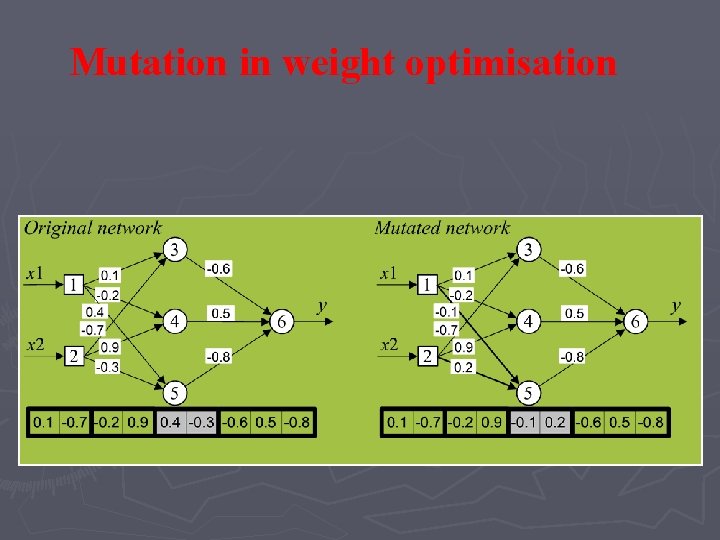 Mutation in weight optimisation Mutation in weight optimisation
