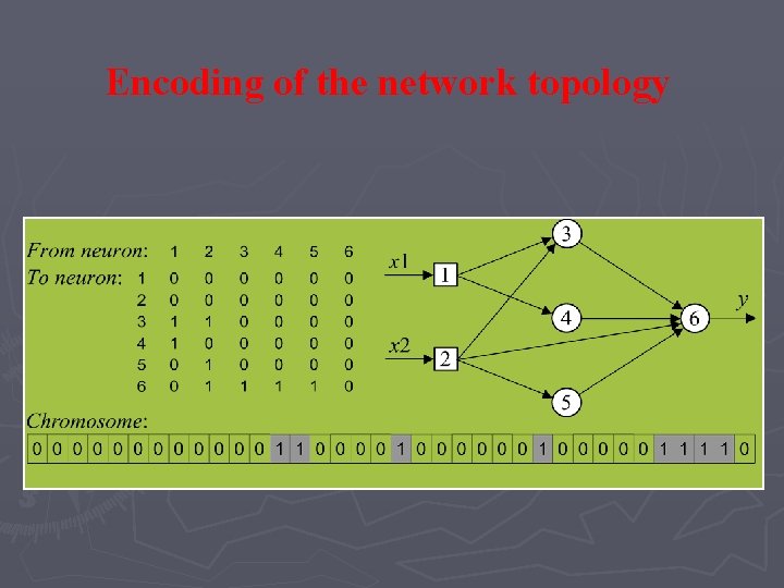 Encoding of the network topology Encoding of the network topology