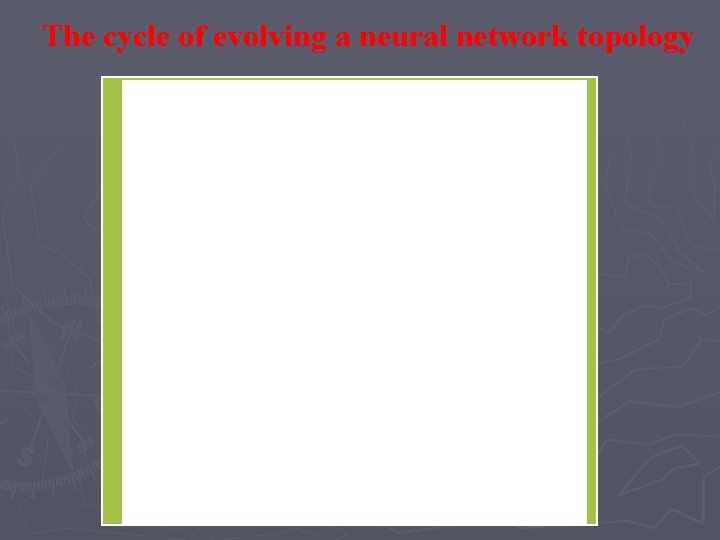 The cycle of evolving a neural network topology The cycle of evolving a neural network topology