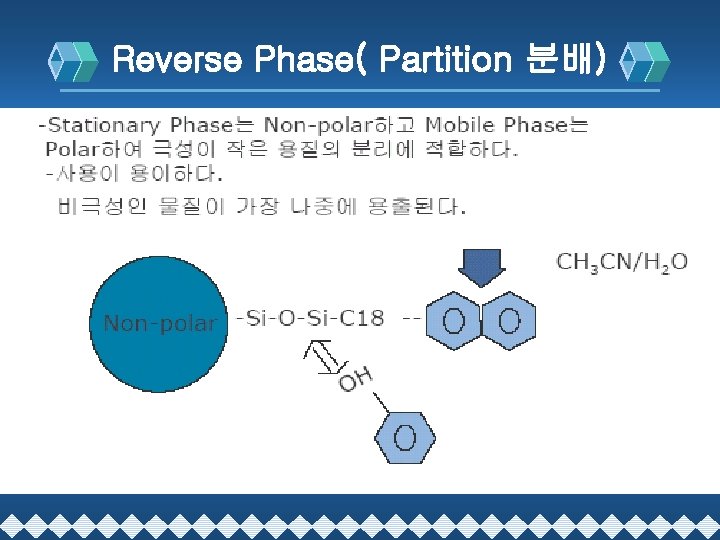 Reverse Phase( Partition 분배) 