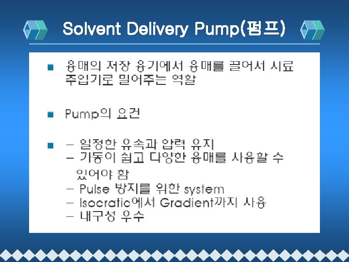Solvent Delivery Pump(펌프) 