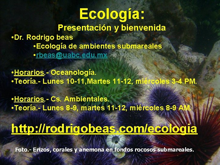 Ecología: Presentación y bienvenida • Dr. Rodrigo beas • Ecología de ambientes submareales •