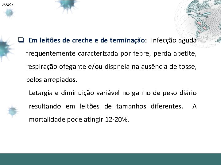PRRS q Em leitões de creche e de terminação: infecção aguda frequentemente caracterizada por