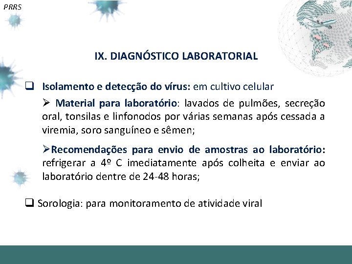 PRRS IX. DIAGNÓSTICO LABORATORIAL q Isolamento e detecção do vírus: em cultivo celular Ø