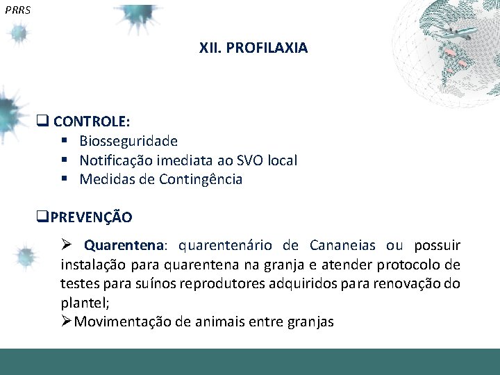 PRRS XII. PROFILAXIA q CONTROLE: § Biosseguridade § Notificação imediata ao SVO local §