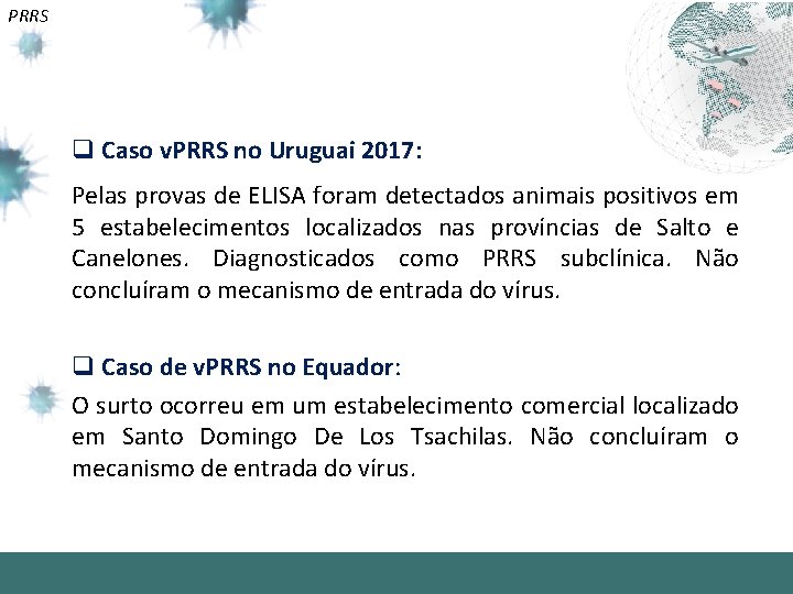 PRRS q Caso v. PRRS no Uruguai 2017: Pelas provas de ELISA foram detectados