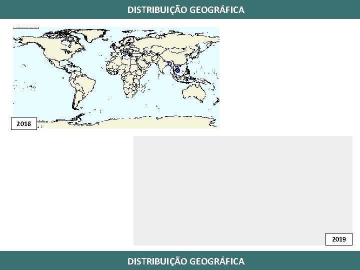 DISTRIBUIÇÃO GEOGRÁFICA 2018 2019 DISTRIBUIÇÃO GEOGRÁFICA 