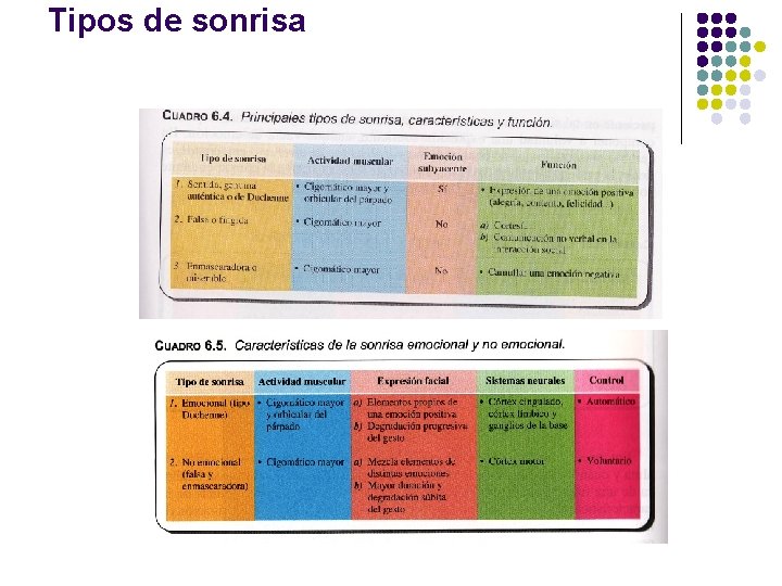 Tipos de sonrisa 