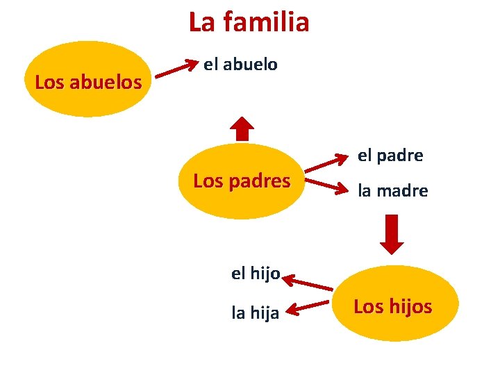 La familia Los abuelos el abuelo Los padres el padre la madre el hijo