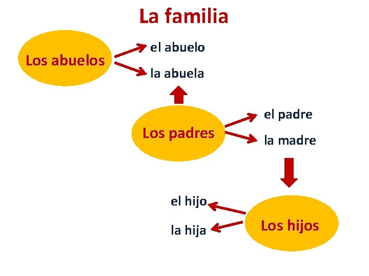 La familia Los abuelos el abuelo la abuela Los padres el padre la madre