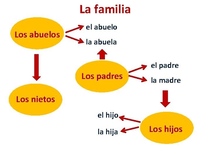 La familia Los abuelos el abuelo la abuela Los padres el padre la madre