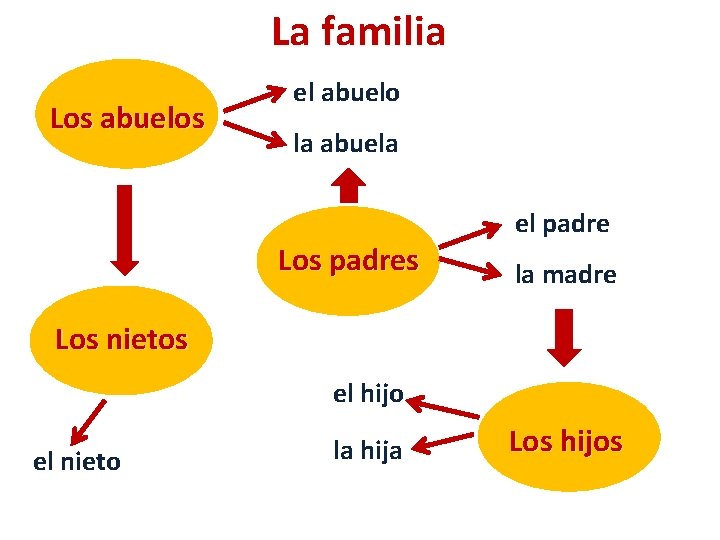 La familia Los abuelos el abuelo la abuela Los padres el padre la madre