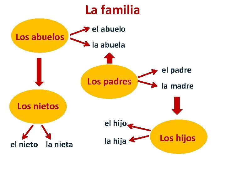 La familia Los abuelos el abuelo la abuela Los padres el padre la madre