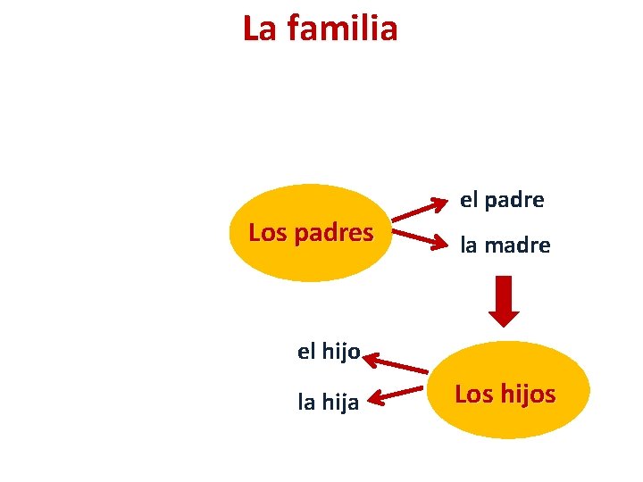 La familia Los padres el padre la madre el hijo la hija Los hijos
