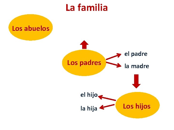 La familia Los abuelos Los padres el padre la madre el hijo la hija