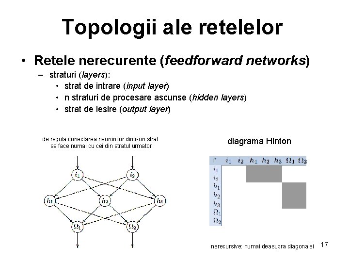 rețele de comercializare a rețelelor neuronale