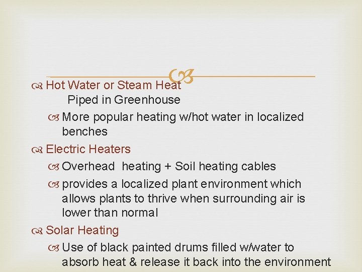  Hot Water or Steam Heat Piped in Greenhouse More popular heating w/hot water