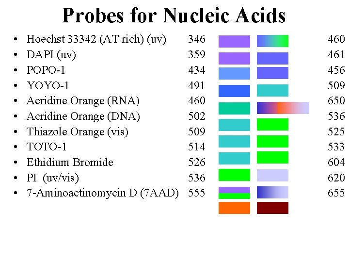 Probes for Nucleic Acids • • • Hoechst 33342 (AT rich) (uv) DAPI (uv)