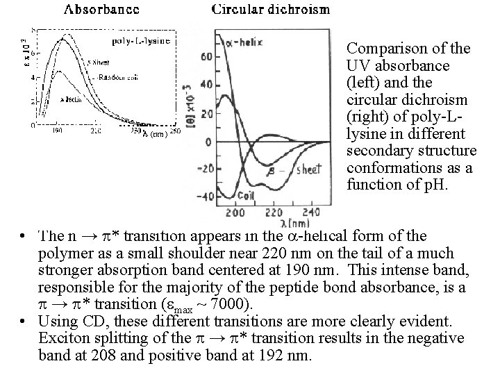 Comparison of the UV absorbance (left) and the circular dichroism (right) of poly-Llysine in