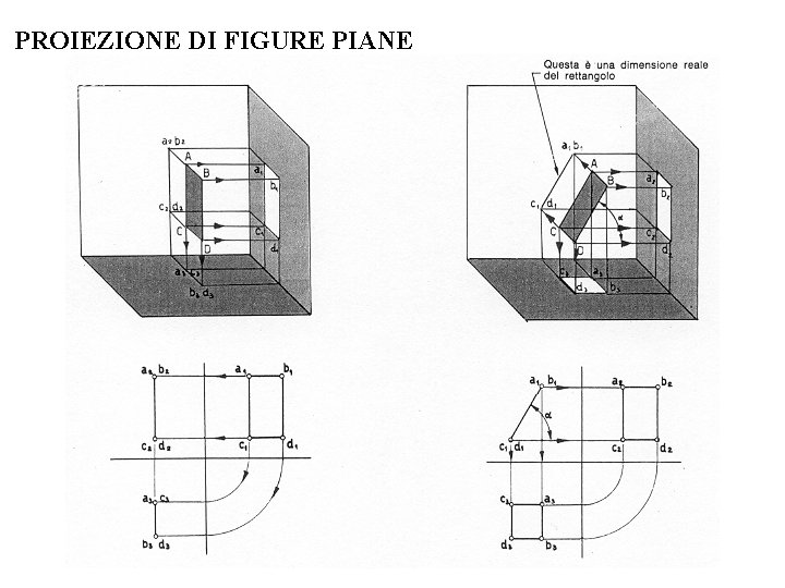 PROIEZIONE DI FIGURE PIANE PROIEZIONE DI FIGURE PIANE