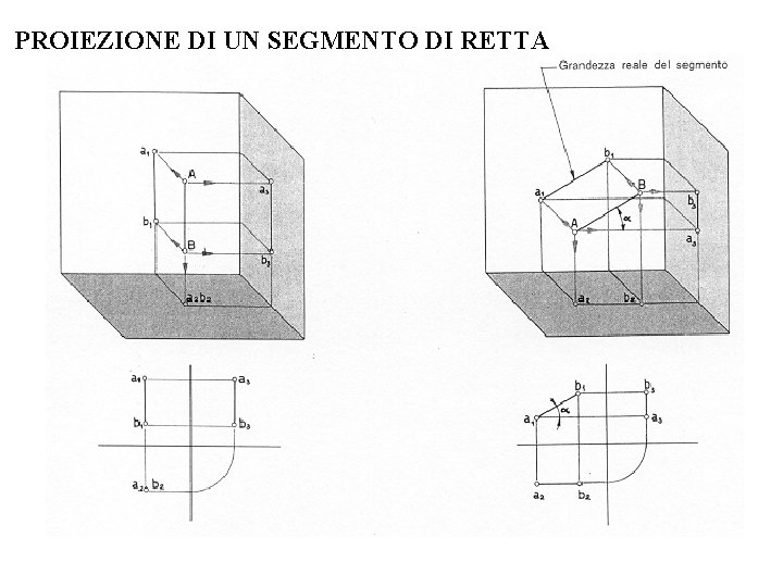 PROIEZIONE DI UN SEGMENTO DI RETTA PROIEZIONE DI UN SEGMENTO DI RETTA
