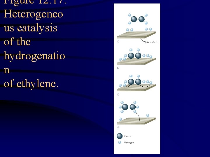 Figure 12. 17: Heterogeneo us catalysis of the hydrogenatio n of ethylene. 