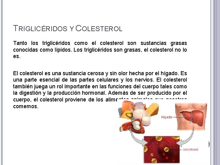 TRIGLICÉRIDOS Y COLESTEROL Tanto los triglicéridos como el colesterol son sustancias grasas conocidas como