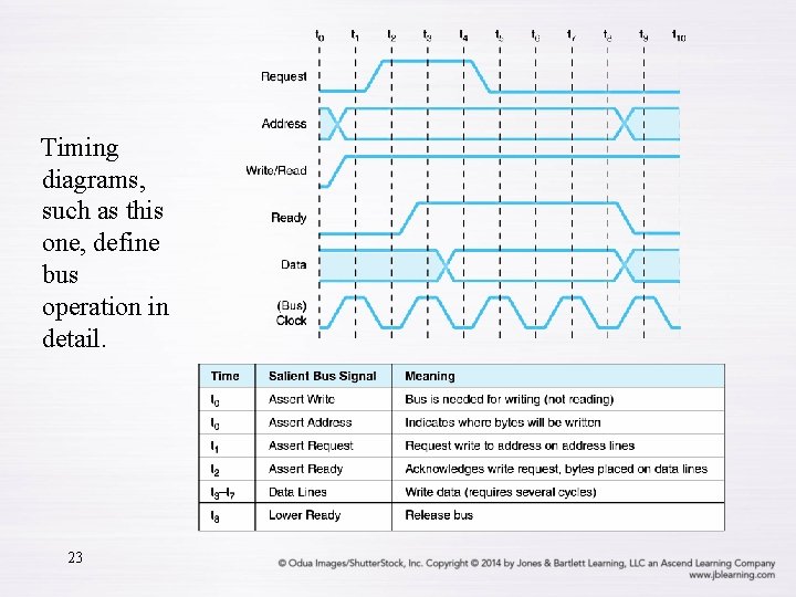 Timing diagrams, such as this one, define bus operation in detail. 23 