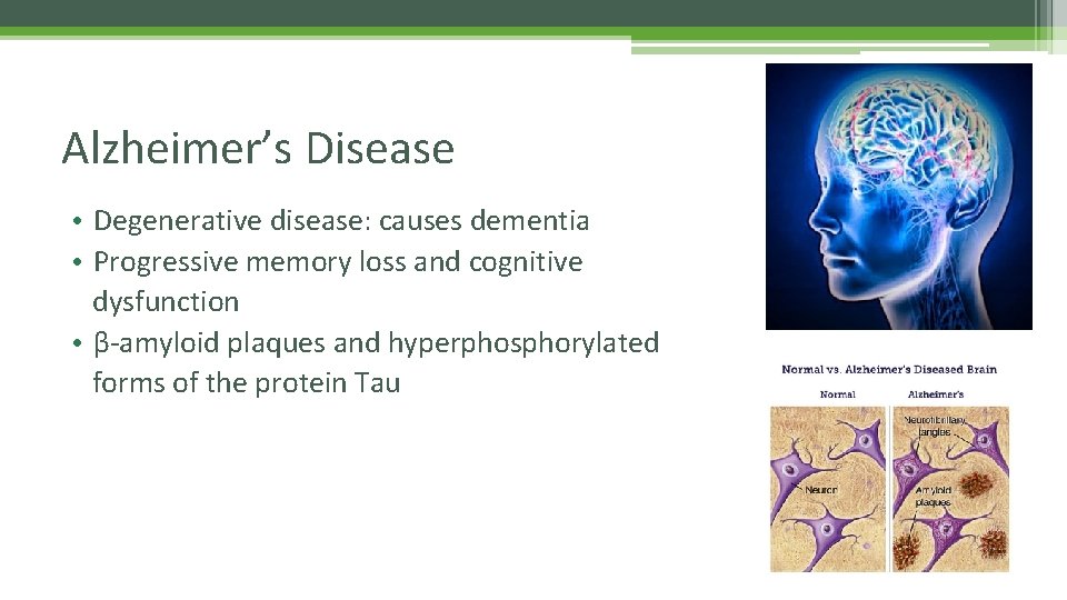 Alzheimer’s Disease • Degenerative disease: causes dementia • Progressive memory loss and cognitive dysfunction