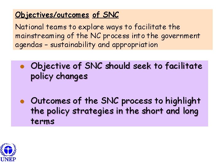 Objectives/outcomes of SNC National teams to explore ways to facilitate the mainstreaming of the