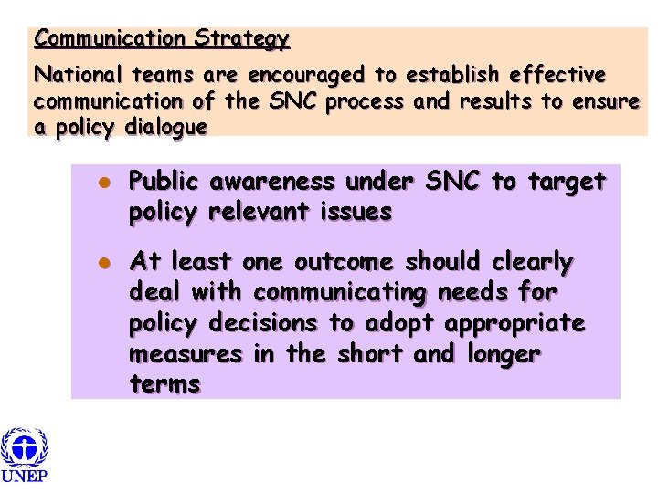 Communication Strategy National teams are encouraged to establish effective communication of the SNC process