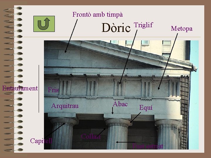 Frontò amb timpà Dòric Entaulament Triglif Fris Àbac Arquitrau Capitell Equí Collarí Fust estriat Frontò amb timpà Dòric Entaulament Triglif Fris Àbac Arquitrau Capitell Equí Collarí Fust estriat