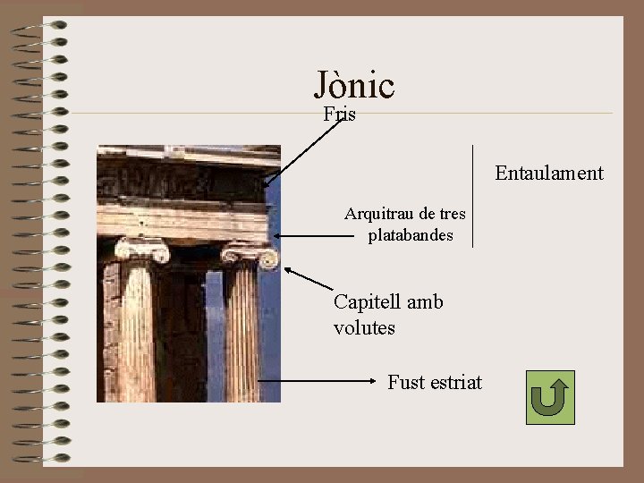 Jònic Fris Entaulament Arquitrau de tres platabandes Capitell amb volutes Fust estriat Jònic Fris Entaulament Arquitrau de tres platabandes Capitell amb volutes Fust estriat
