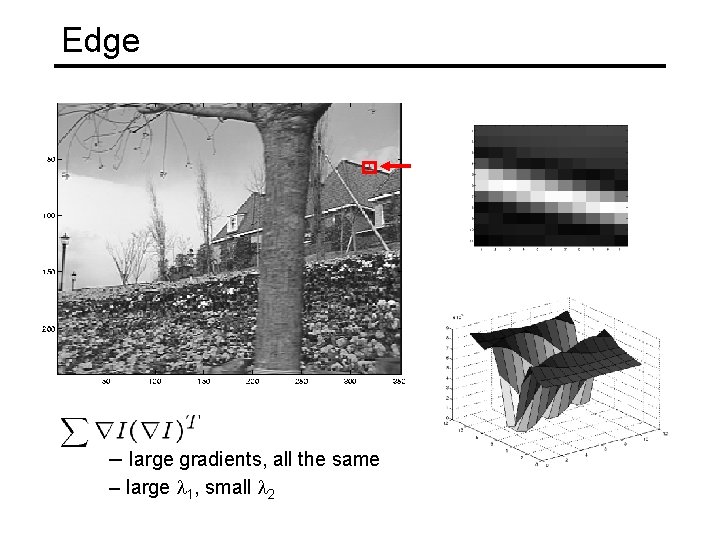 Edge – large gradients, all the same – large l 1, small l 2