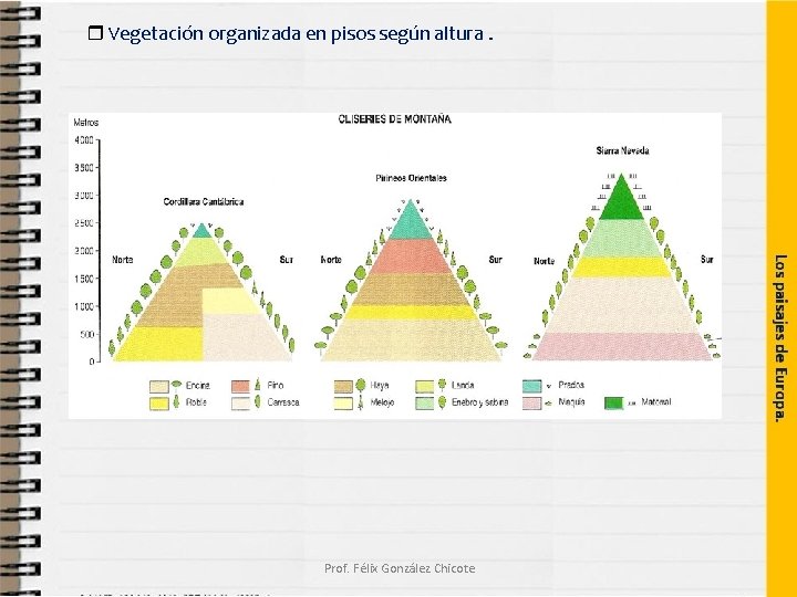  Vegetación organizada en pisos según altura. Prof. Félix González Chicote 