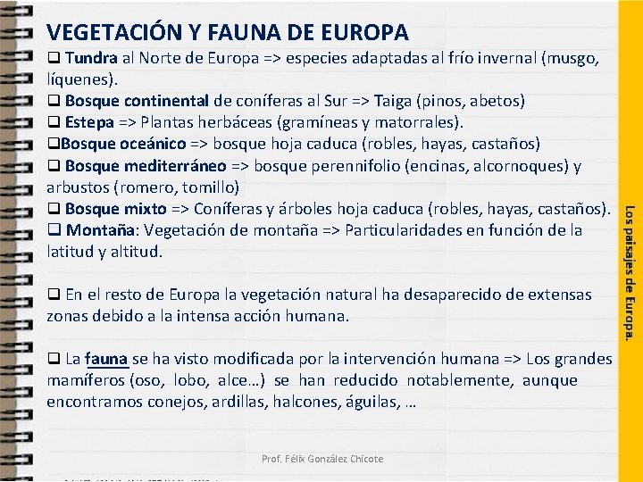 VEGETACIÓN Y FAUNA DE EUROPA Tundra al Norte de Europa => especies adaptadas al