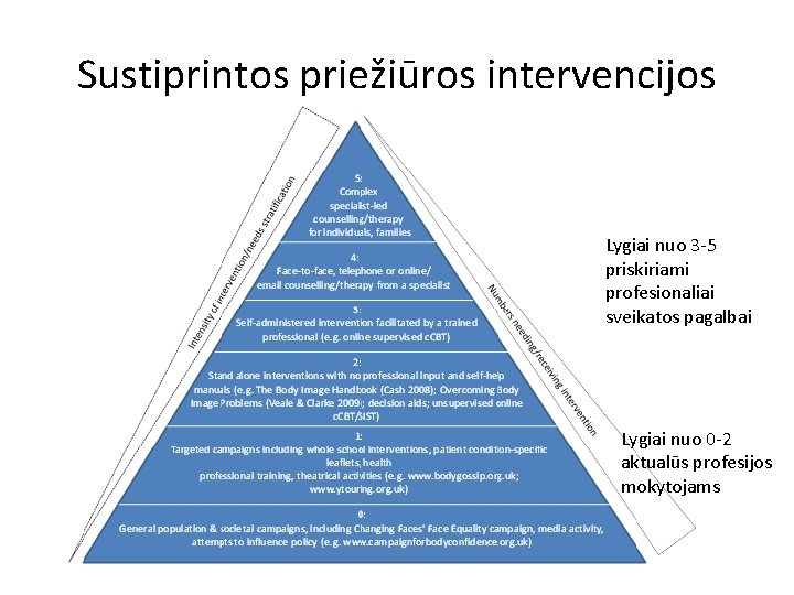 Sustiprintos priežiūros intervencijos Lygiai nuo 3 -5 priskiriami profesionaliai sveikatos pagalbai Lygiai nuo 0