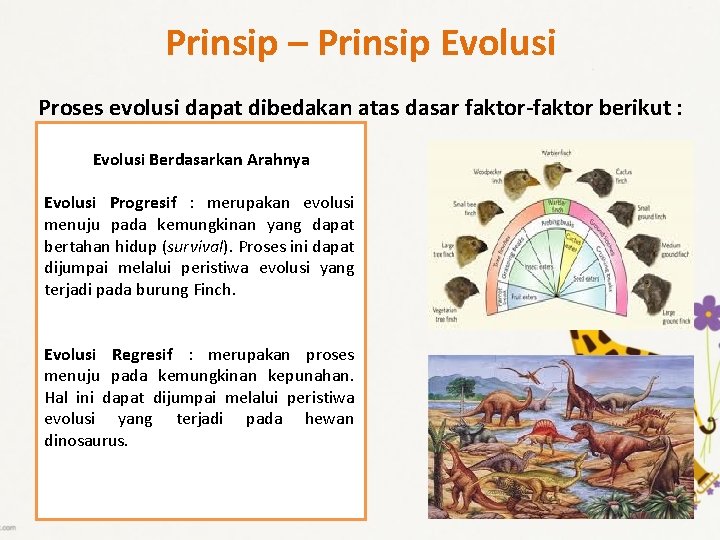 Prinsip – Prinsip Evolusi Proses evolusi dapat dibedakan atas dasar faktor-faktor berikut : Evolusi