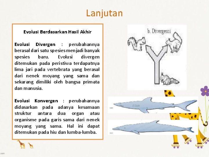 Lanjutan Evolusi Berdasarkan Hasil Akhir Evolusi Divergen : perubahannya berasal dari satu spesies menjadi