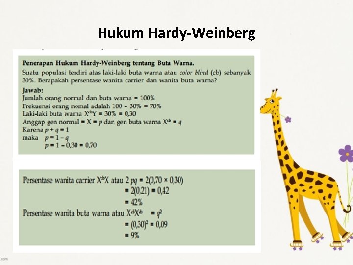 Hukum Hardy-Weinberg 