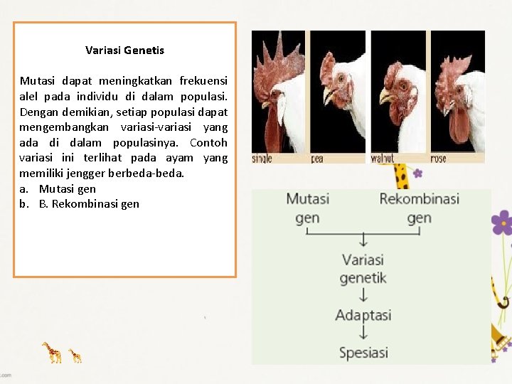 Variasi Genetis Mutasi dapat meningkatkan frekuensi alel pada individu di dalam populasi. Dengan demikian,