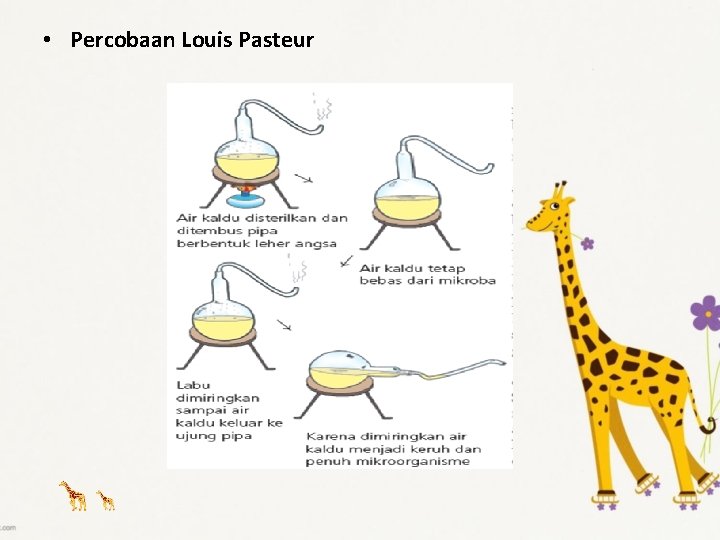  • Percobaan Louis Pasteur 