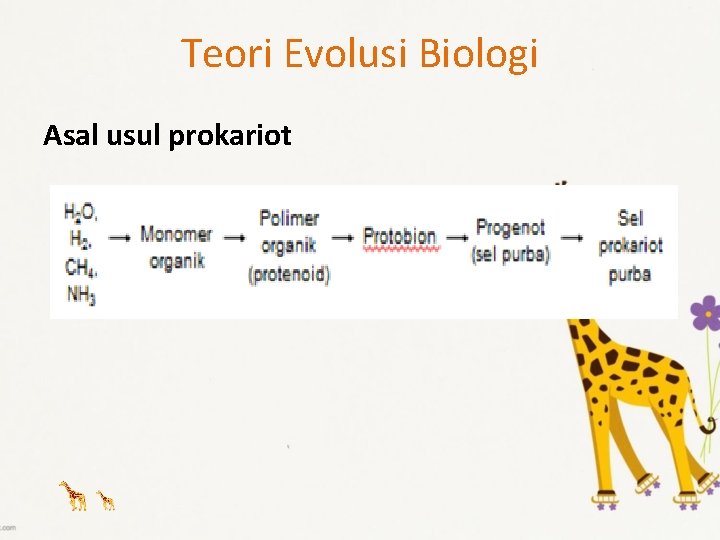 Teori Evolusi Biologi Asal usul prokariot 