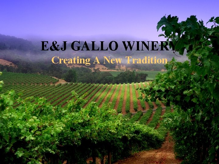 E&J GALLO WINERY Creating A New Tradition E&J GALLO WINERY Creating A New Tradition